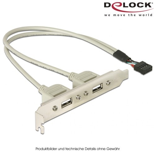 Delock USB 2.0 Slotblech ( 1x 10poliger Anschluß)